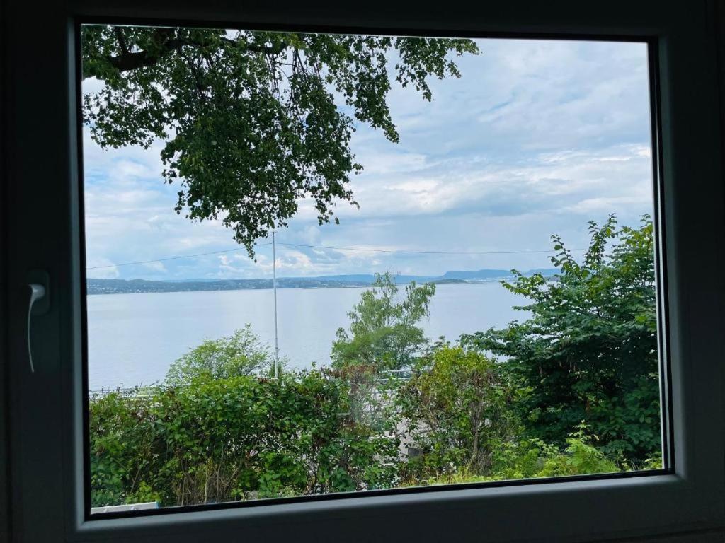 Nice Apartment With1 Bedroom Separate Living Room With A Sofa Bed And A Tiny Kitchen A Bathroom Located In Nordstrand Near By The Sea For 3 Guests With A Garden And Grill 5 Extra Guests With Extra Cost In The Cabin With Sea View Just Outside The Apar Осло Екстер'єр фото